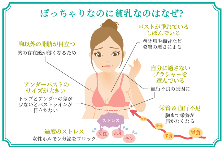 Amazon.co.jp: むっちり少女のメガマラSEX はるか奏 E-BODY