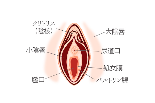 『くすぐったい』を『気持ちいい』に変える【間違ったフェザータッチに気をつけて】