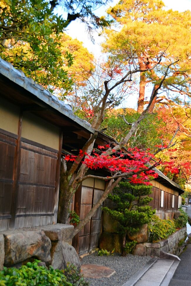 龍安寺 石庭が有名 修学旅行の学生