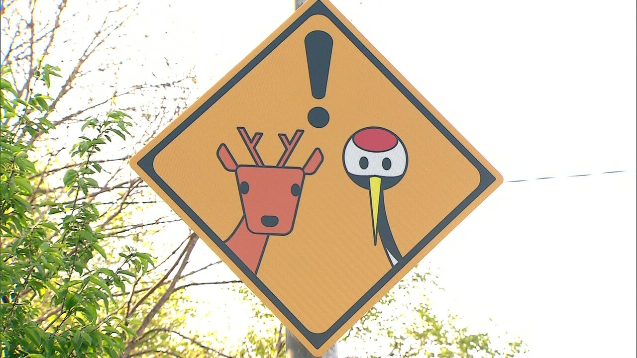 見つけたらラッキー! 自転車にまつわる道路標識はレア度が高い BEST TiMES ベストタイムズ