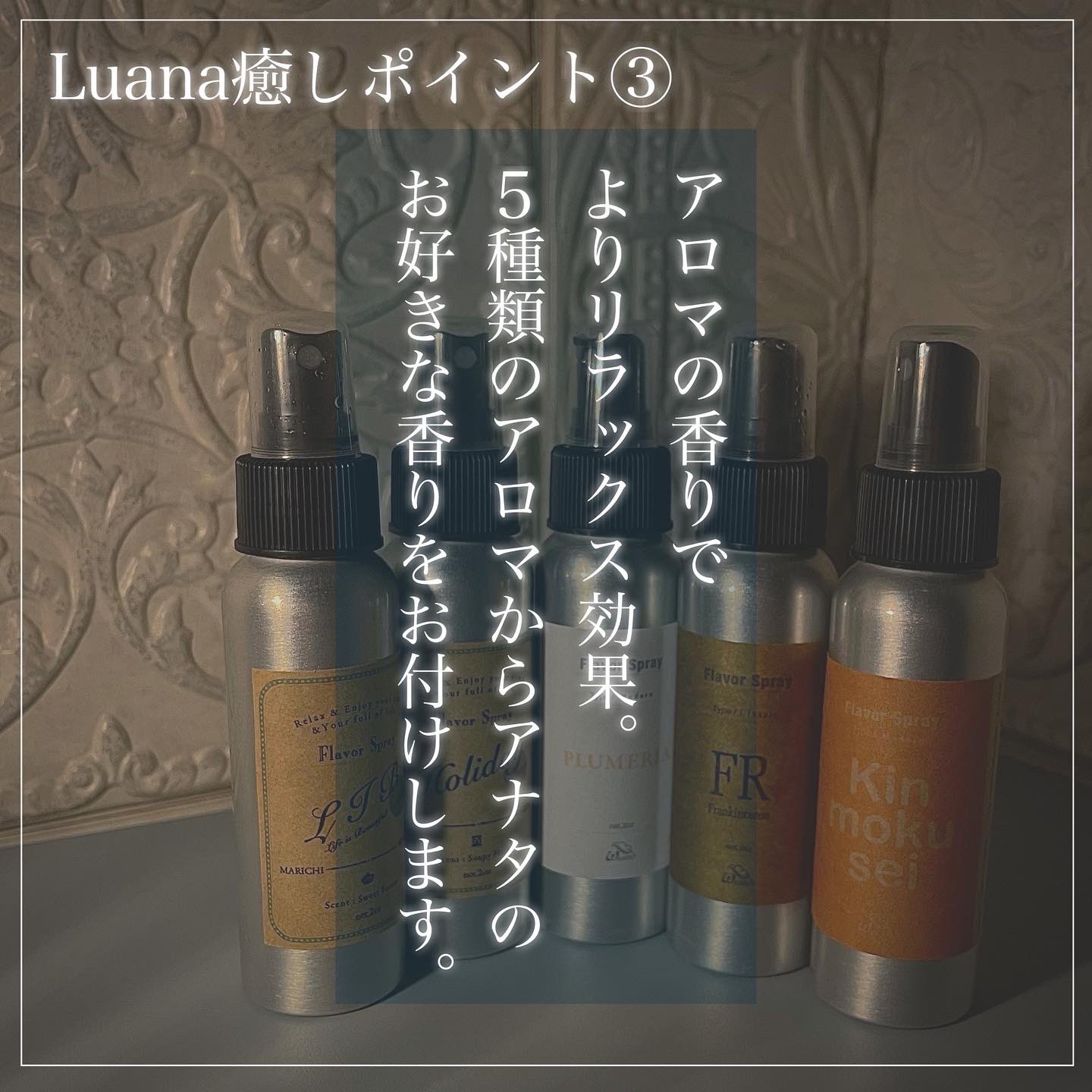 Luana | ペットホテルご利用