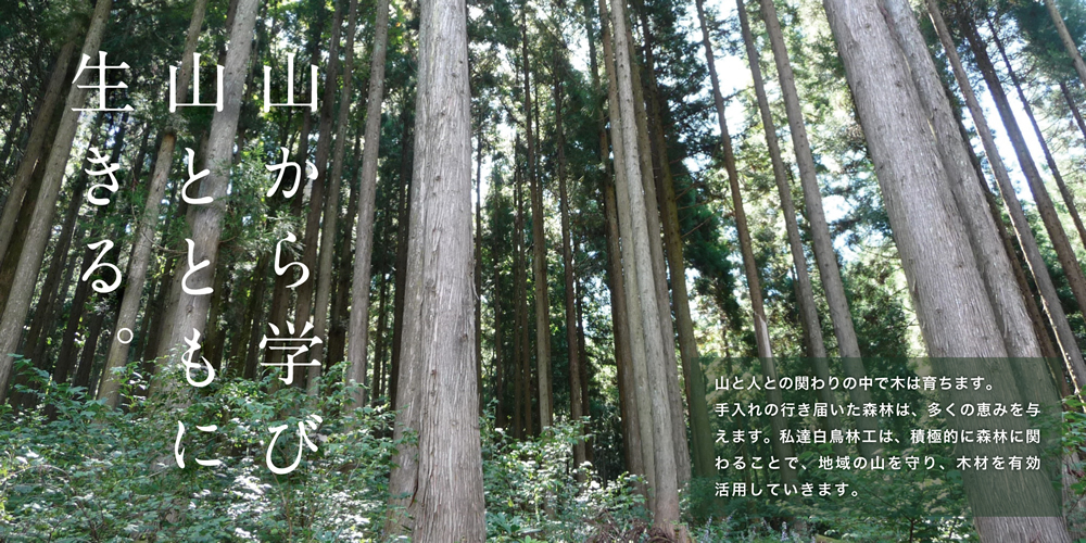 こんにちは、林友ハウス工業です。カラマツ浮造り造作材です❗️信州安曇野長野県産材信州カラマツ造作材木材加工