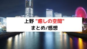 メンズエステ体験レポート】上野「癒しの空間Annex」- もみパラ