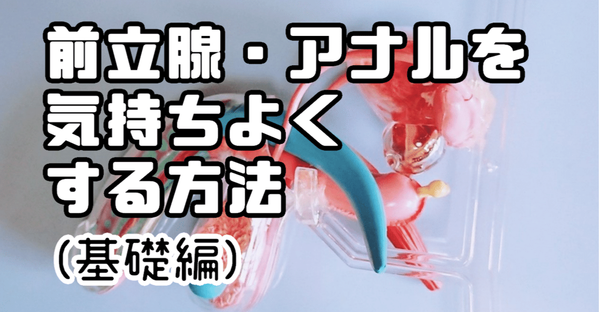 初心者向け]ドライオーガズム到達に重要な「PC筋」とは何のこと？ » アネロス