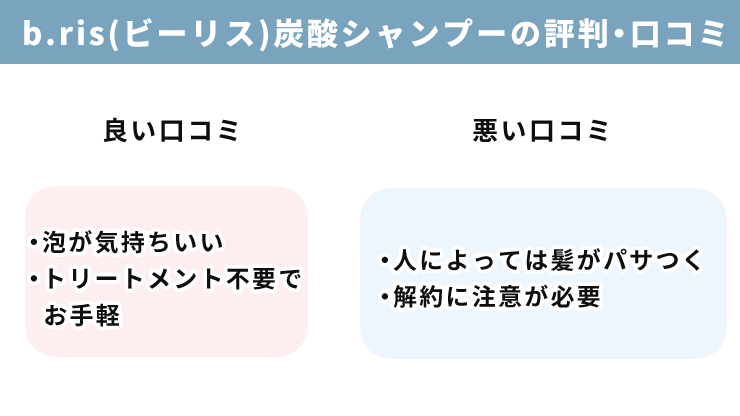 b.ris / ビーリス炭酸シャンプーの悪い口コミや評判は本当？実際に使って効果を検証！【PR】 | First