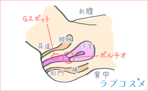 騎乗位でオトコがイク時】ワタシはどうすればいい？ | 【きもイク】気持ちよくイクカラダ