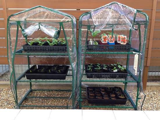 ビニールハウス、完全自作でついに完成！自然農園 日本晴 – 静岡南伊豆から自然栽培野菜を農家直送