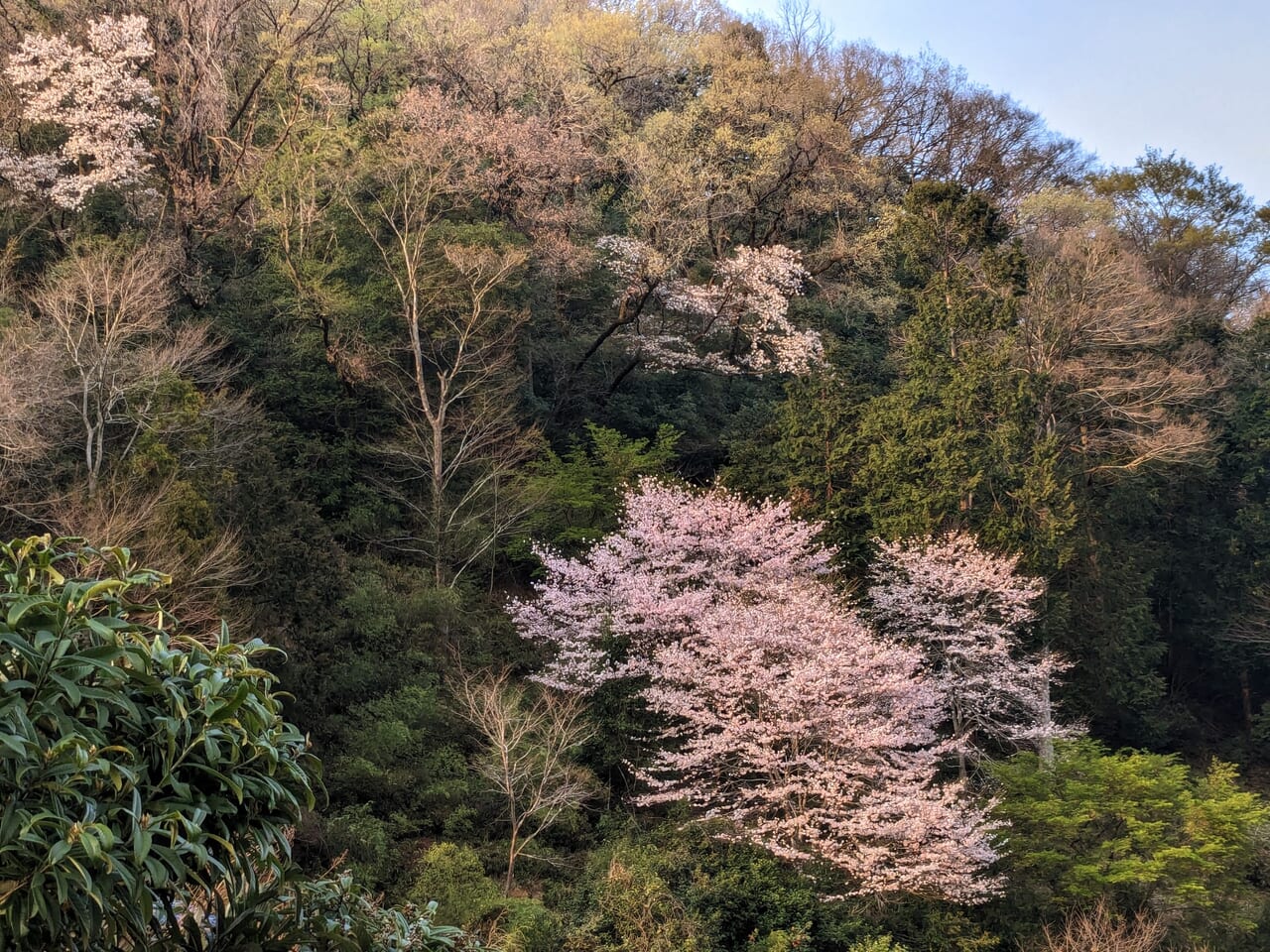 横浜・川崎・町田編】謎の地名と彼らの作った桃源郷？ | Cool Japan 物語