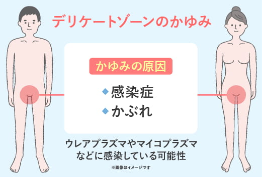 ワセリンの自己注入後に発症した陰茎部皮膚潰瘍の1例 (臨床皮膚科 61巻1号)