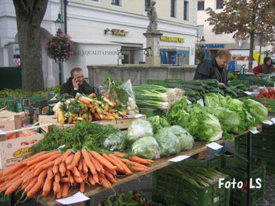 株式市場が再び下落する危険にさらされている5つの理由 ドイツ銀行が指摘Business Insider Japan