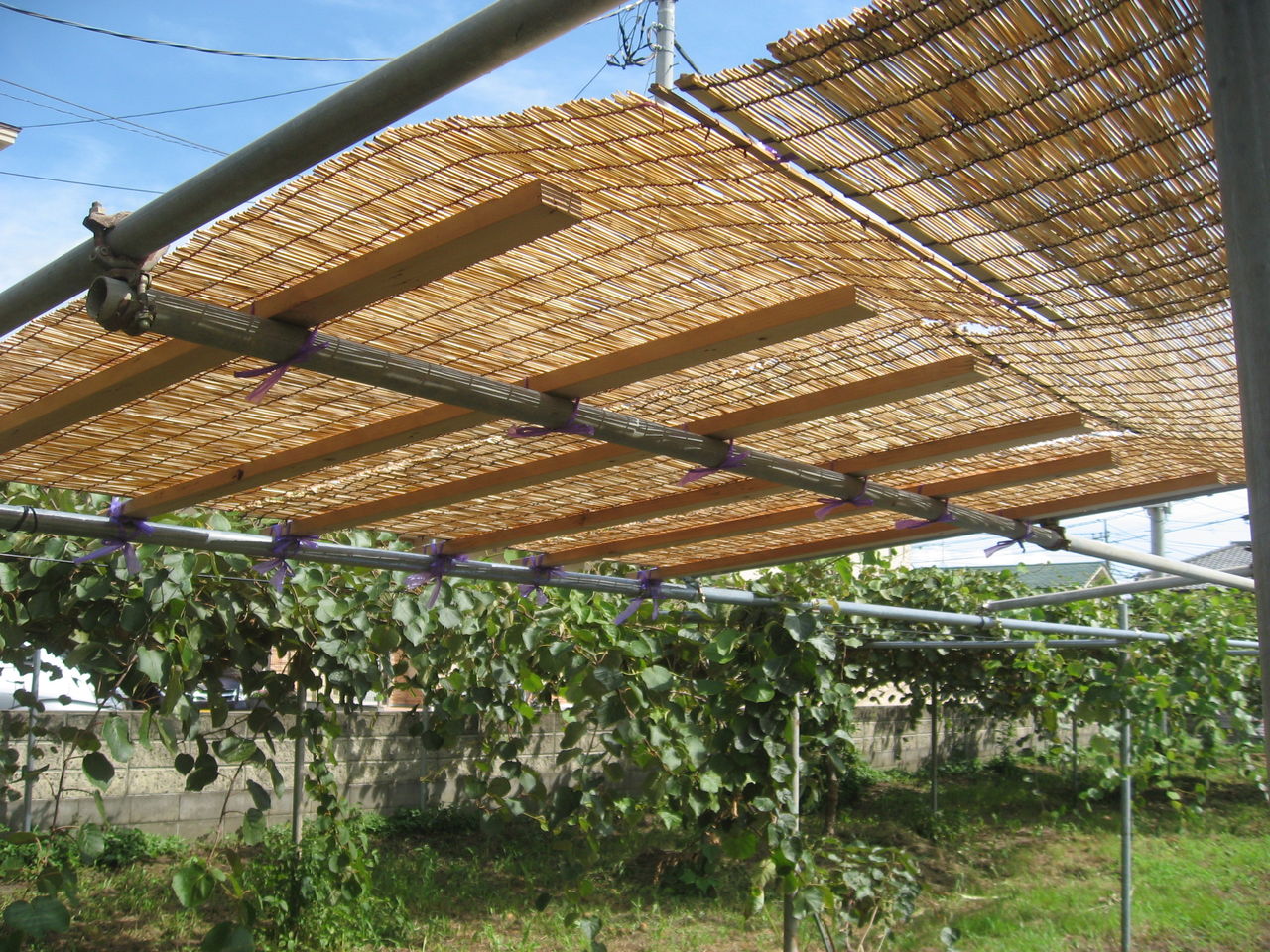 屋根 DIY 日除け 単管パイプのインテリア実例 - 2021-12-15 21:02:28RoomClip ルームクリップ