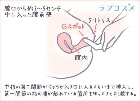 女性の「潮吹き」と「女性の射精」の明確の違いについて - 美容外科｜船橋中央クリニック&青山セレスクリニック