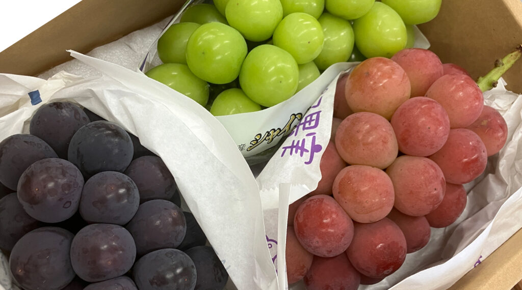 ぶどうの詰合せ、出荷本番。 : 東浦の葡萄屋 石田農園の作業日記