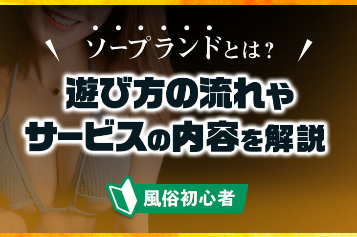 ソープランドテクニックプロ用教材 改訂版マットプレイ基礎⑴[19]: 日本快感性技研究所 Institute of