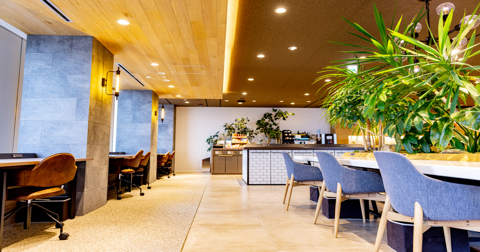 1ヶ月経たずして1,000名突破！ カフェスタイルの次世代コワーキングスペース「thefrom」オープンから1ヶ月経たずして、会員登録者数1,000名を突破しました。半額キャンペーンも残り1日！株式会社ザ・建物のプレスリリース