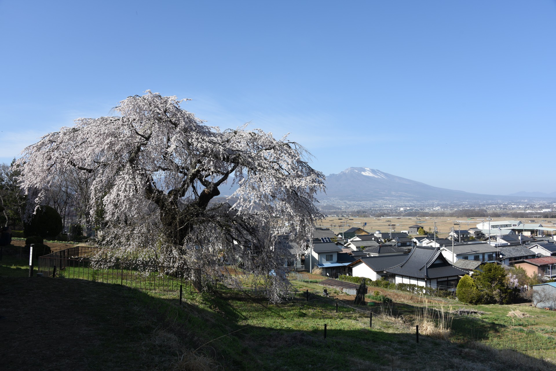 解体前）上野オークラ劇場～アメ横周辺めぐり – 裏道歩荷