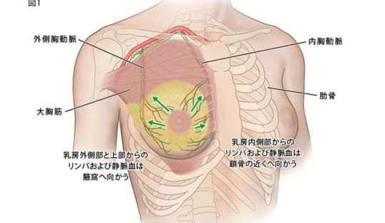 女性がガチで感じるおっぱいの揉み方を伝授します！