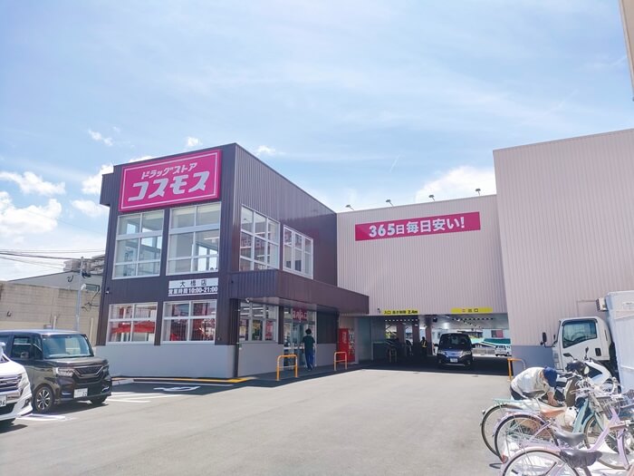 コスモスが10月上旬見ごろへ！備北丘陵公園が秋の花ざかり