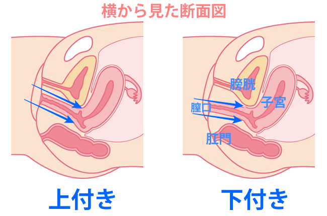 マンコの上付きとは？セックス時のおすすめ体位を知って気持ち良くなろう｜風俗求人・高収入バイト探しならキュリオス