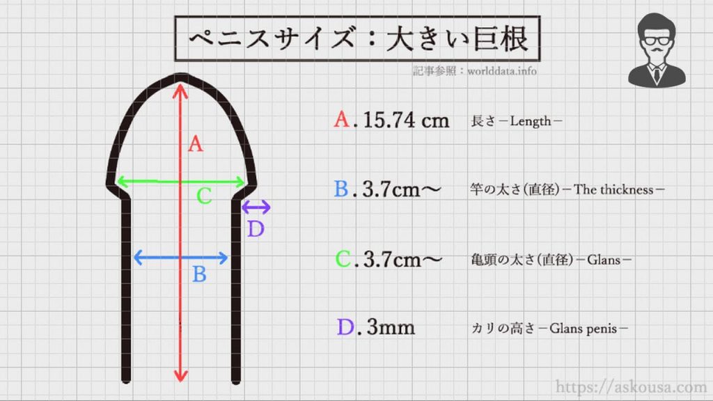 ペニスサイズの測定