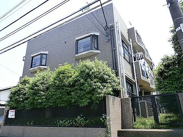 shell吉祥寺@shell_kichijyoji• Instagram photos and videos