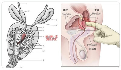 だめぇー！お尻気持ちいいっ…！」激しいフェラからの濃厚アナルSEXで超美形のクール系ギャルがメス堕ち！ケツ穴でマ○コより感じま - MASA