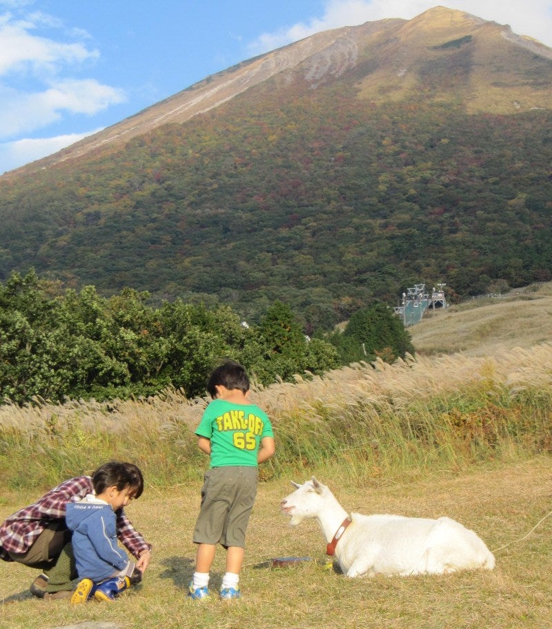 大山」も「楽しみ」も身近がいい！ by かおりさん