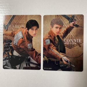 マルコ・ボット」検索結果アニメイト