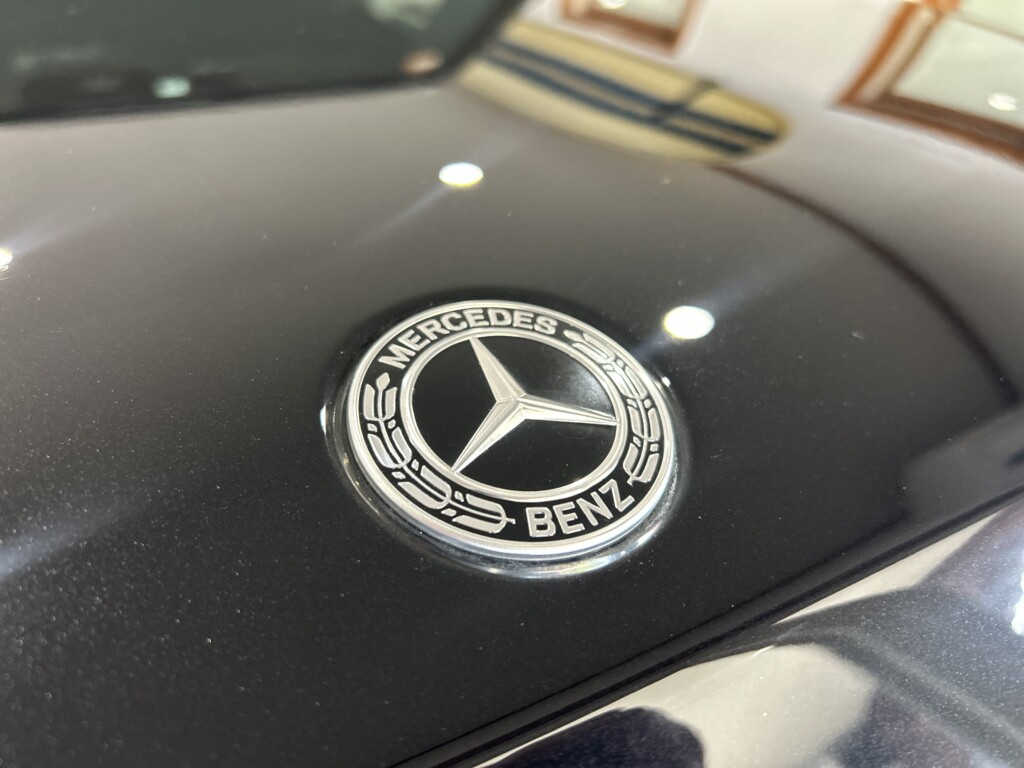 世界のロゴ １メルセデス・ベンツしじみ デザインを語るひと