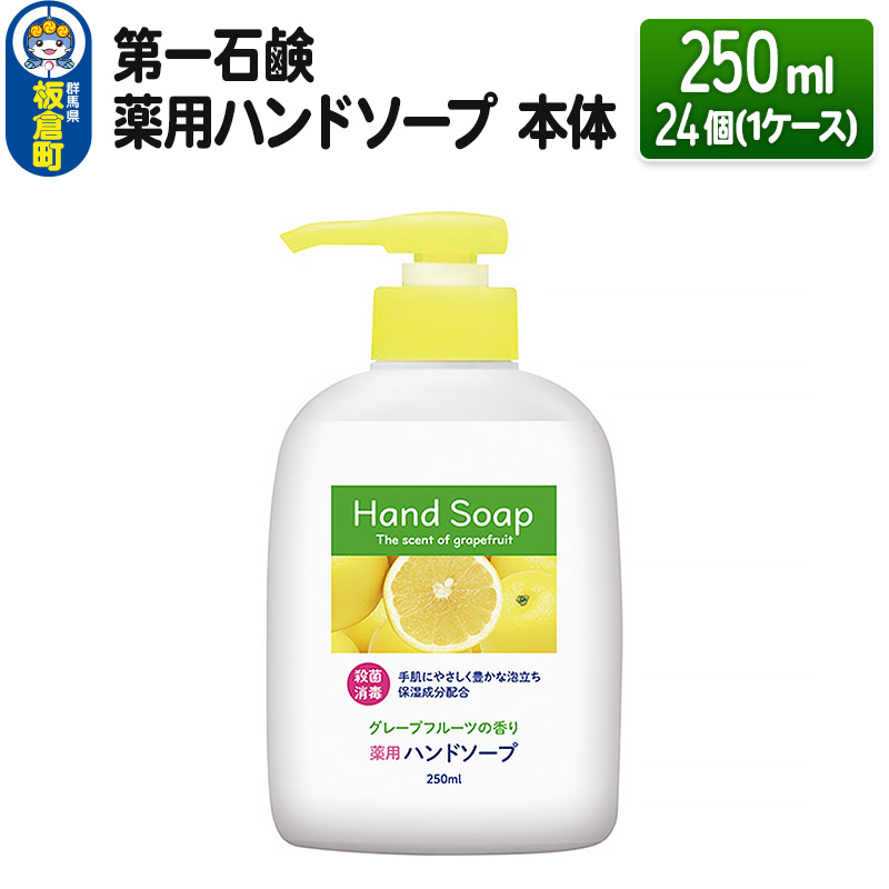 第一石鹸 薬用泡ハンドソープ 本体 250ml×12個（1ケース）