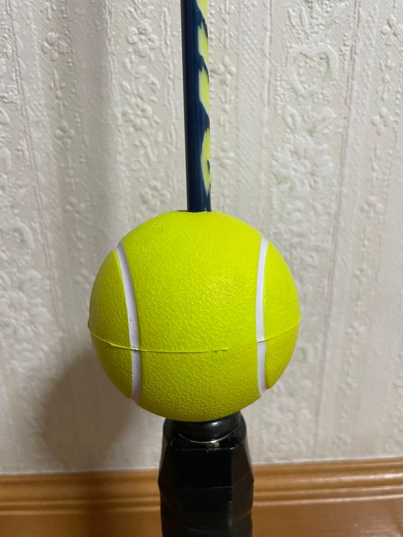 Haminoテザーボールボール - 家族のアウトドア活動用 ブルーおもちゃ