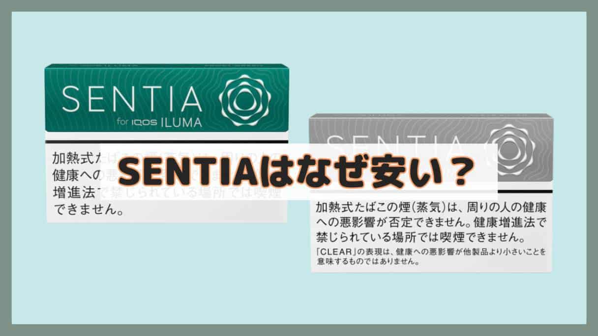 アイコスセンティアのおすすめフレーバー全14種類ランキングDISCKA ディスカ