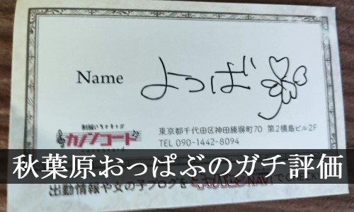 近江八幡のガチで稼げるピンサロ求人まとめ【滋賀】 | ザウパー風俗求人