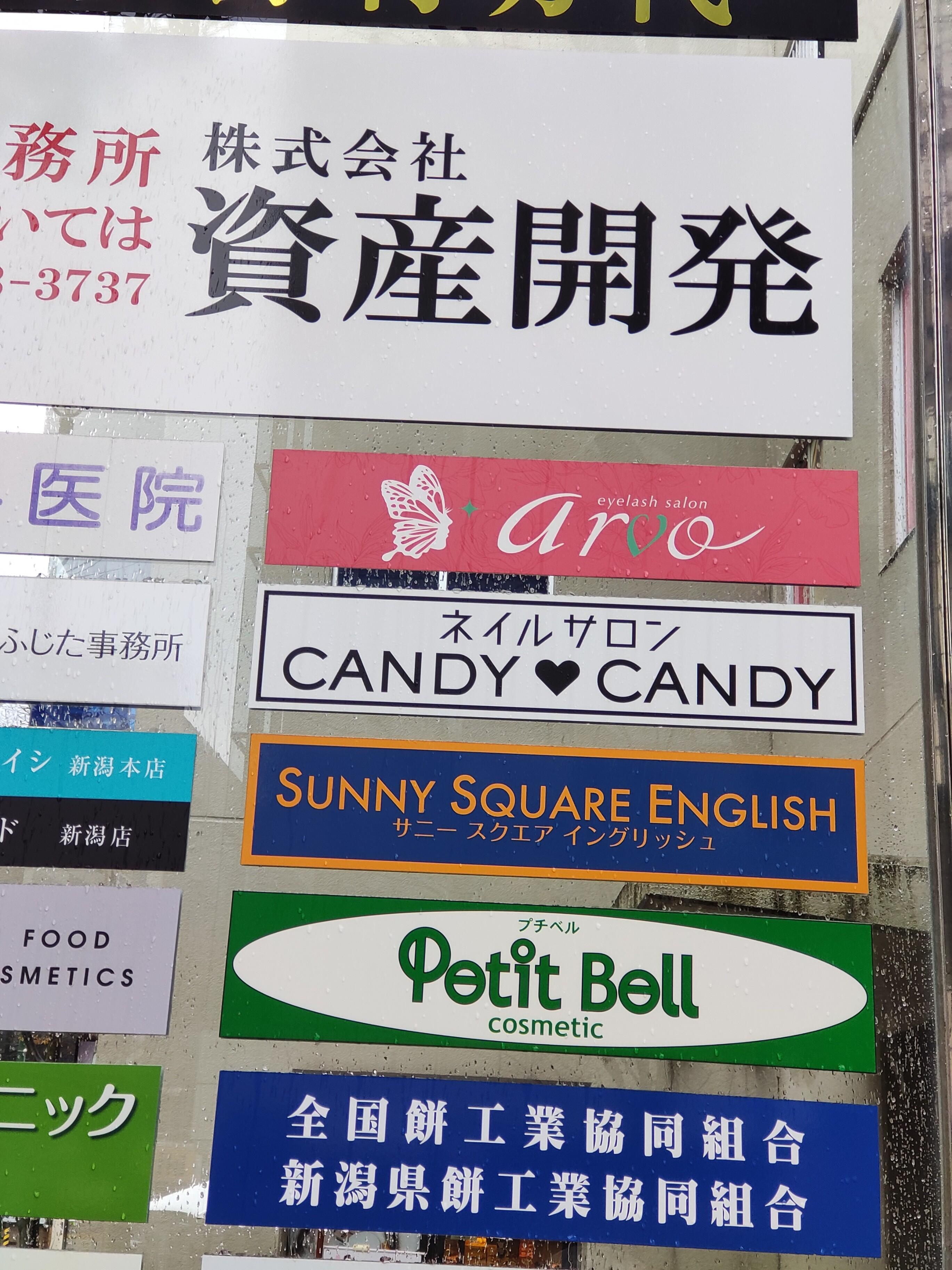 CLUB CANDY(本店)の男性高収入求人 - 高収入求人なら野郎WORK（ヤローワーク）