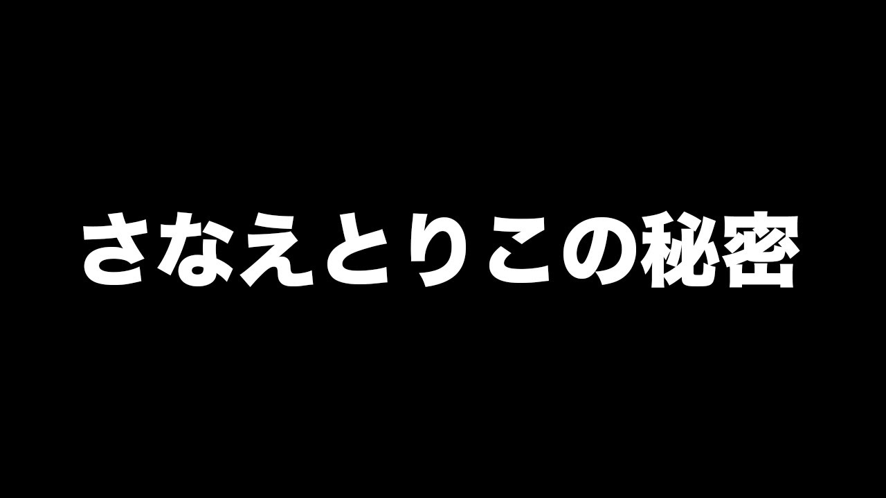 【感謝】さなえとりこオフ会にいたNumber_iが大好きなiLYsを紹介します