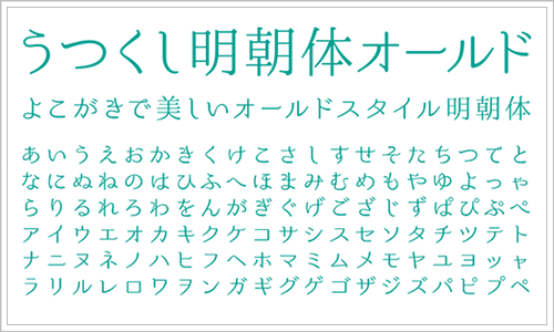 AMR グラフィックデカール・ 日本正規販売代理店・MOTO禅・AMR デカール Ed Hardy ナンバープレート WR450F 07-11