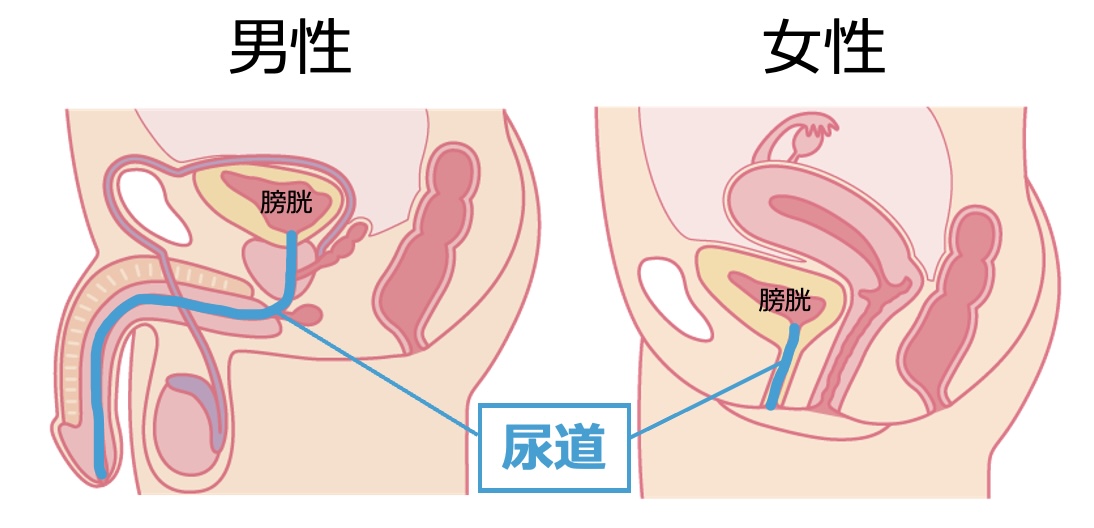 膣ケア・膣トレはデリケートゾーンの不調に効果的！初心者もできる基本方法｜wakanote