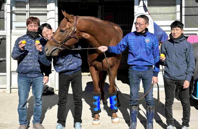 レモンポップがチャンピオンズＣで引退 田中博康調教師「何とかあと１戦、ふり絞っていけるように」 |