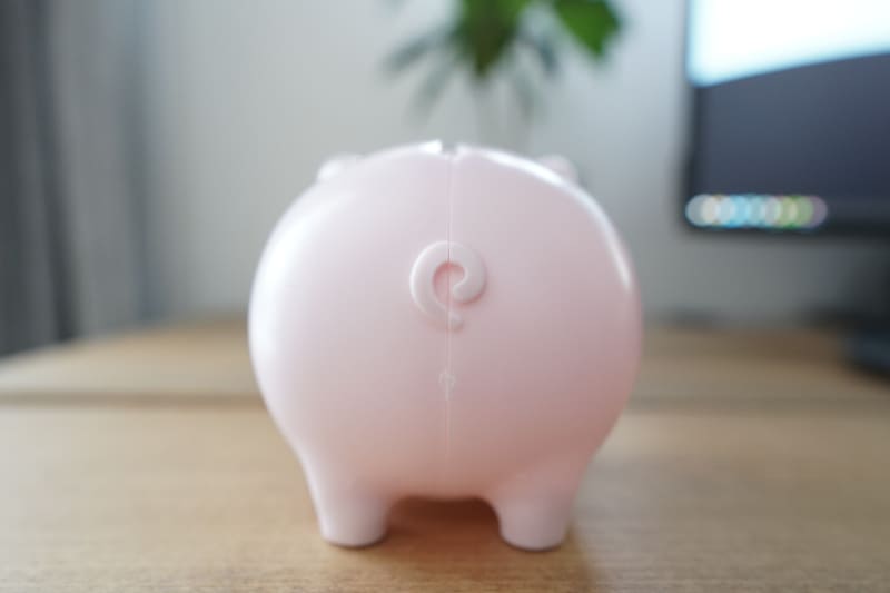 Amazon.co.jp: ダイソー お札 貯金箱 黒白 2セット : おもちゃ