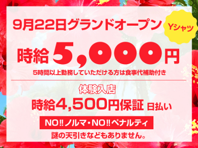 赤羽 キャバクラボーイ求人【ポケパラスタッフ求人】