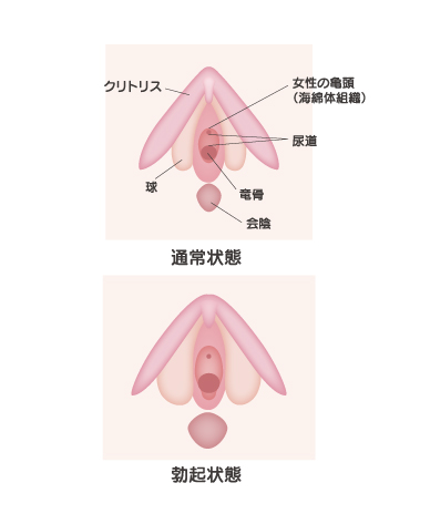 副皮切除で実現する清潔で快適なケア | ガーデンクリニック