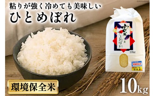 宮城県産ひとめぼれ 令和５年 玄米 30キロ