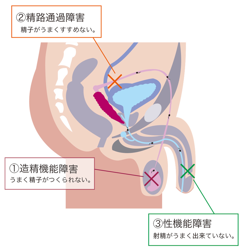 パイプフィニッシュを排水溝にたらして流すだけという簡単すぎる大掃除をしま.. | 花の妖精