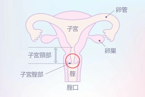 ポルチオ開発】２本のチンポでポルチオを突きまくり 限界突破の超絶セックスで大絶頂！ -