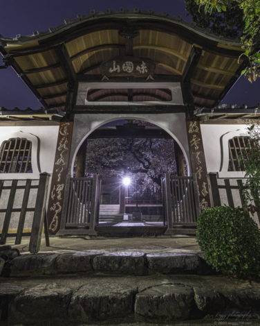 名古屋市: 投票終了・結果発表 meetsukete_nagoya決戦 春のお花編あなたが「見たい！行ってみたい！」スポットに投票しよう！ 暮らしの情報