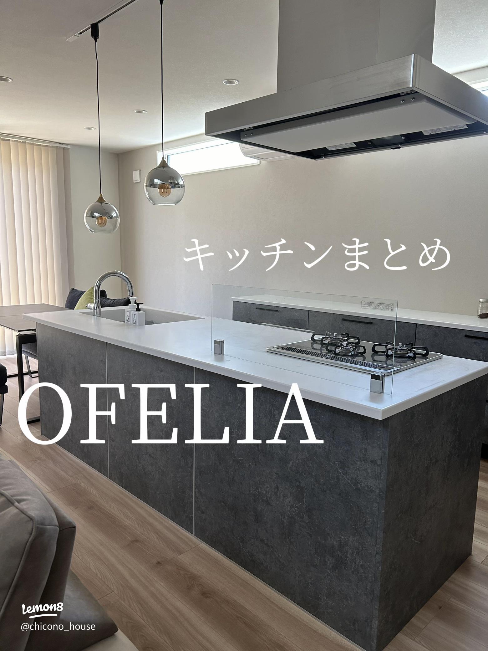 タカラスタンダードキッチンの口コミ・評判！後悔した体験談も紹介住宅LABO