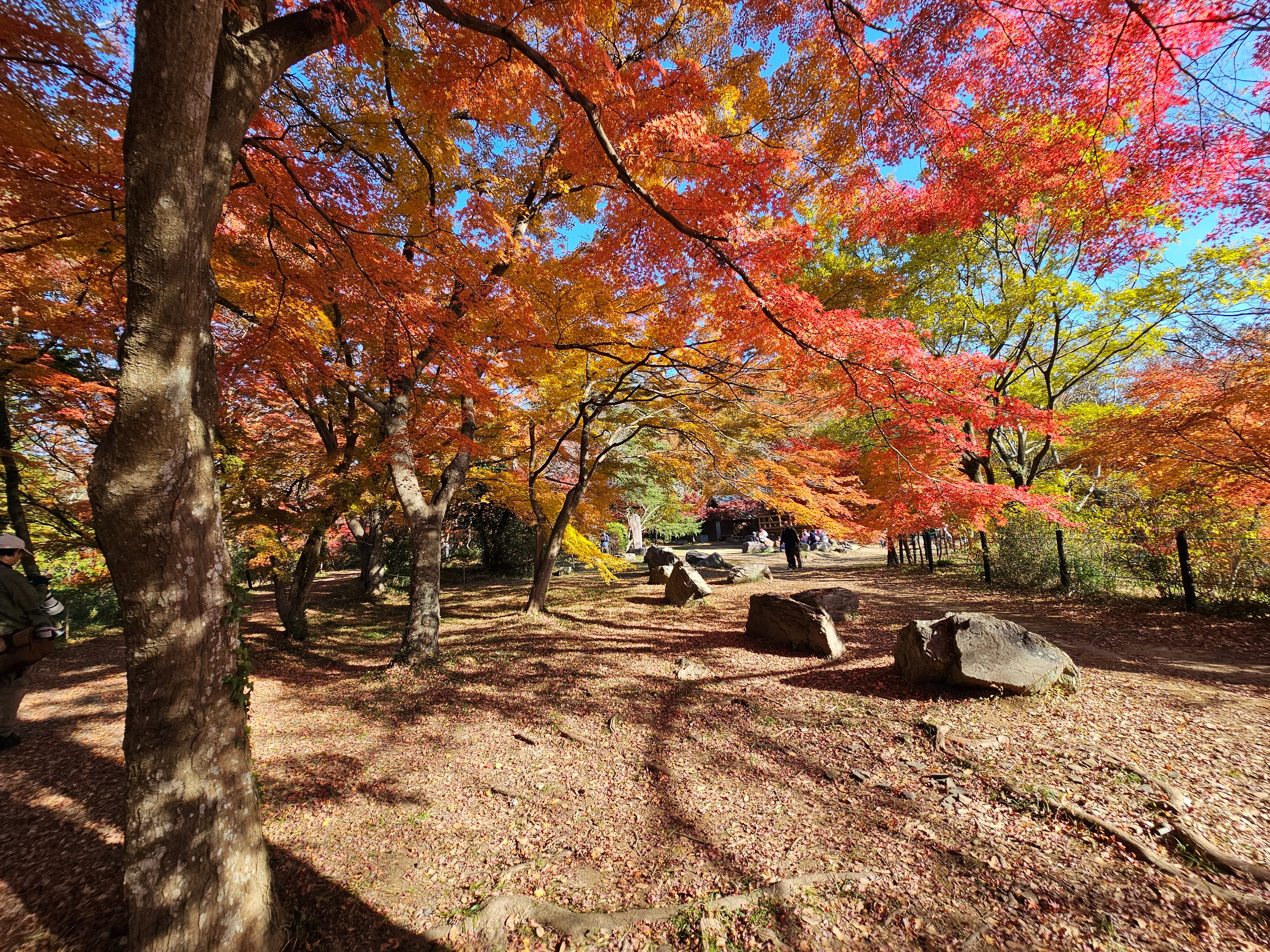 京都・嵐山ご清遊の宿らんざん | 京都で遊ぼうSTAY ～京都で宿泊するならこのお宿で決まり！～