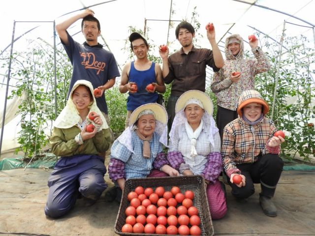 デルモンテ 完熟あらごしトマト 紙パック