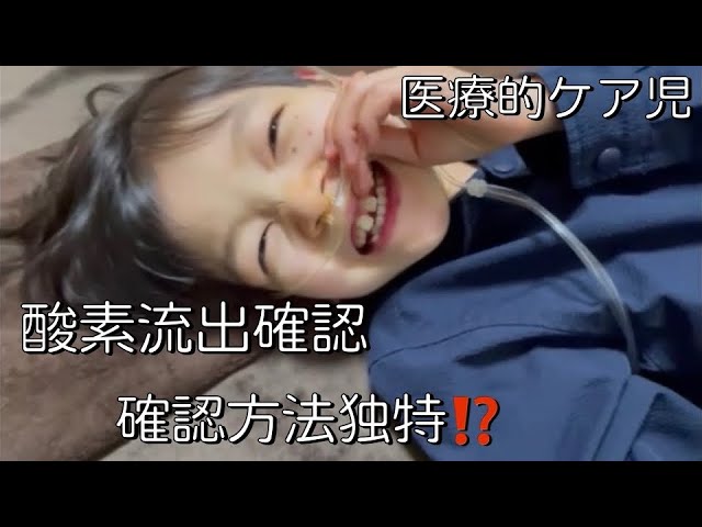 Twitterの情報流出に自分が含まれているかを確認する方法