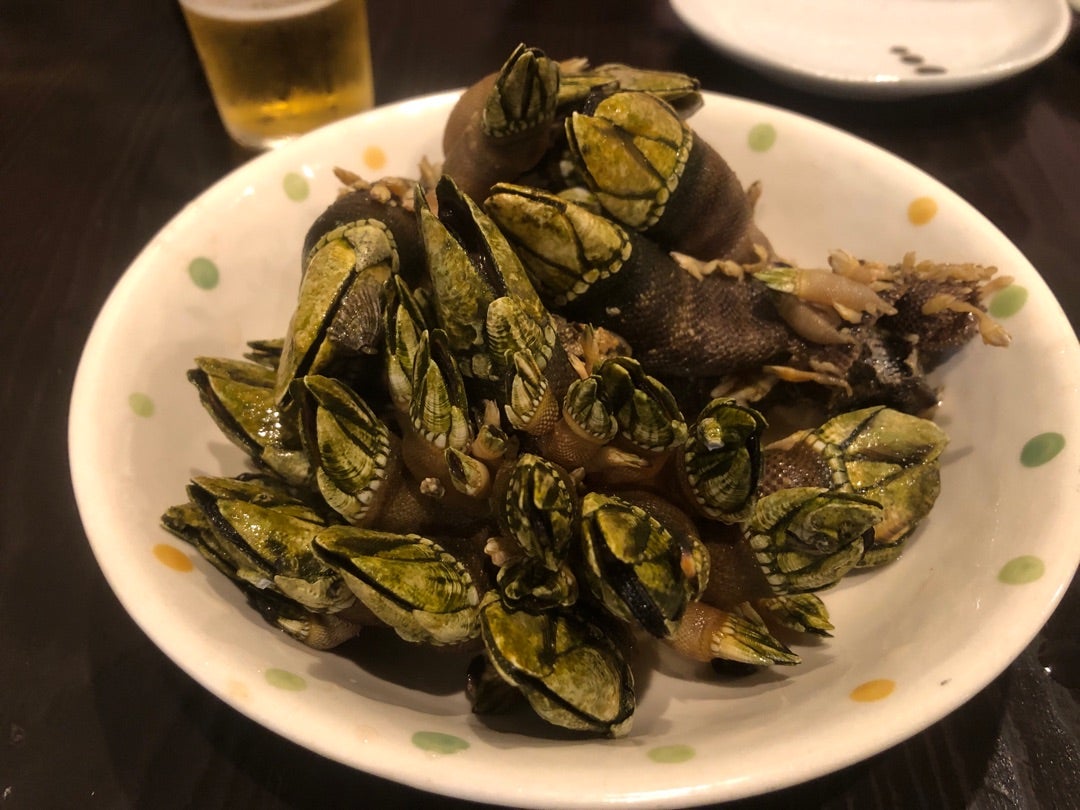 ご相伴」の意味とは？「お相伴」との違いは？類語、言い換え、英語も紹介bouteX